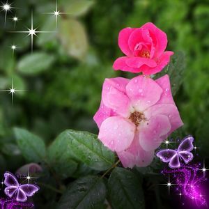 Meet your Posher, Pat